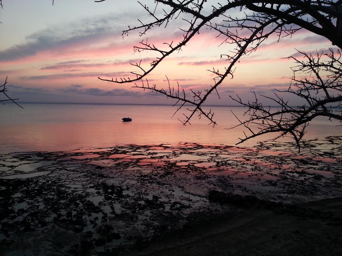 Pemba Arti Lodge Exterior photo